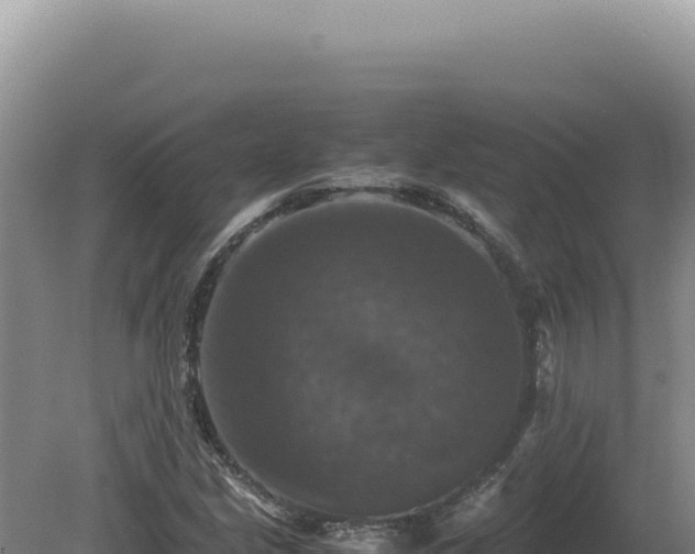 X0000081471213200701191757