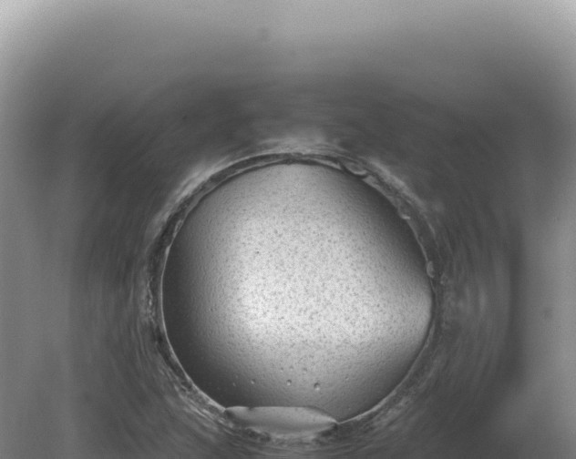 X0000081471215200701191757