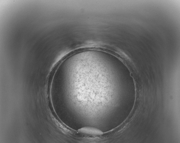 X0000081471216200701191757