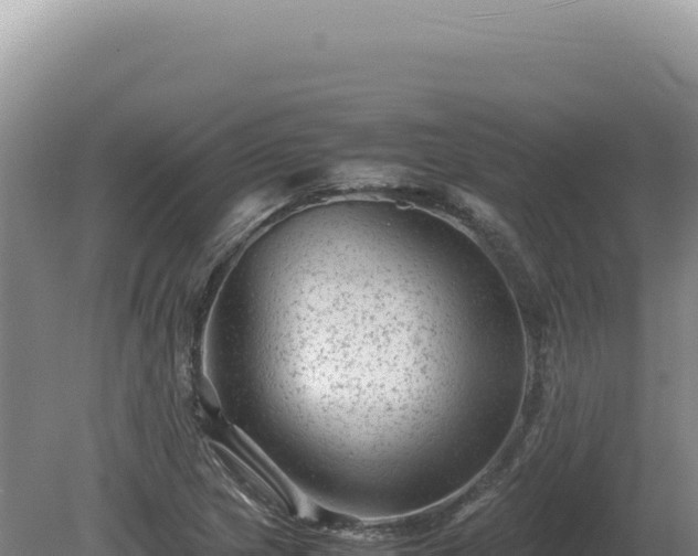 X0000081471217200701191757