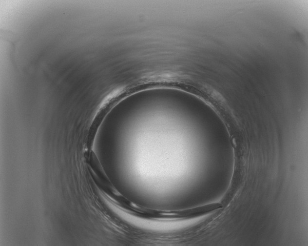 X0000081471218200701191757