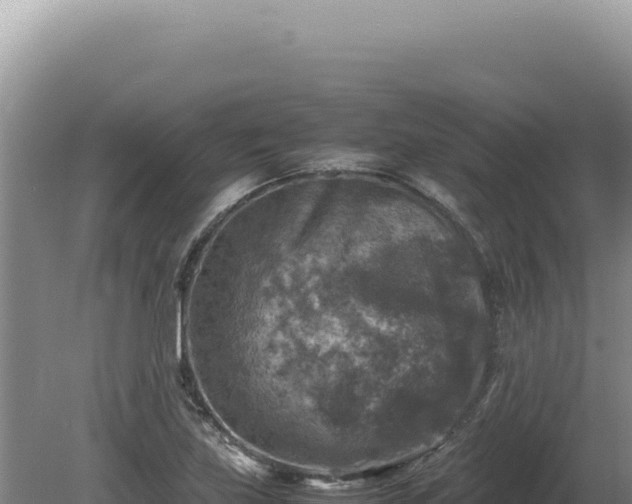 X0000081471219200701191757