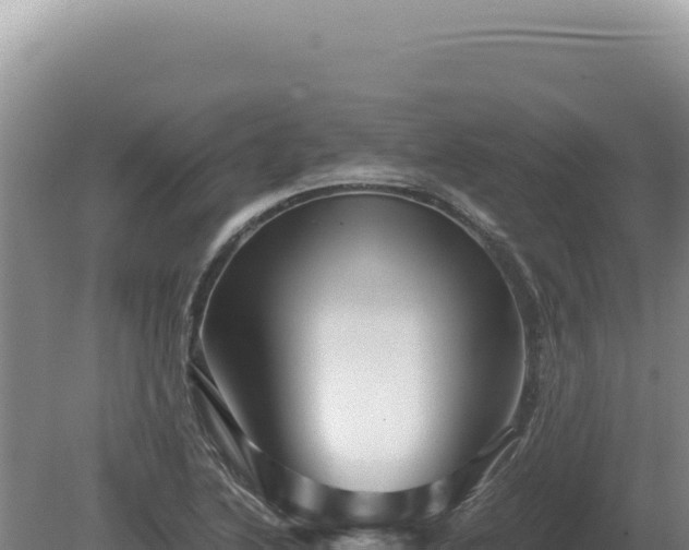 X0000081471222200701191757