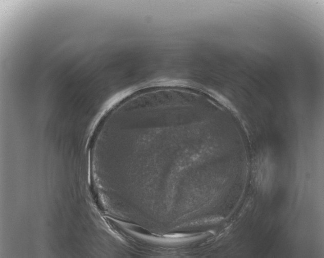 X0000081471223200701191757