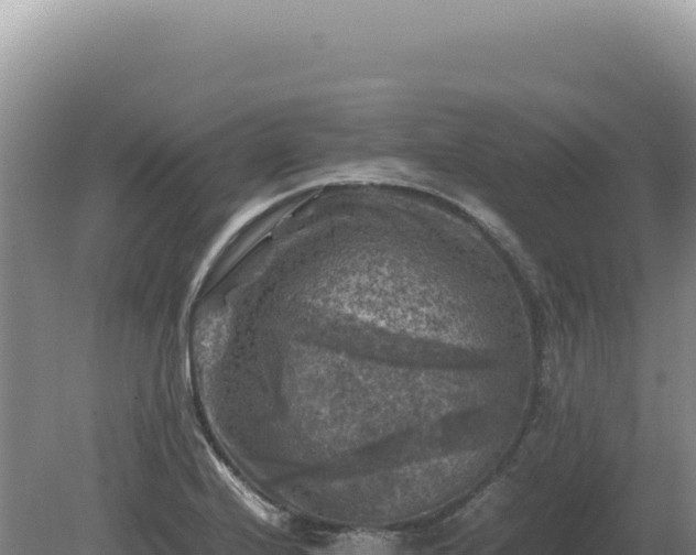 X0000081471224200701191757