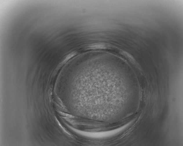 X0000081471225200701191757