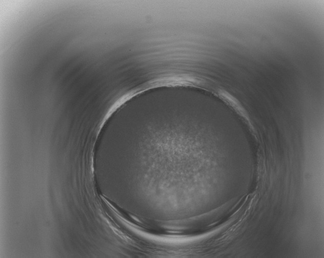 X0000081471226200701191757