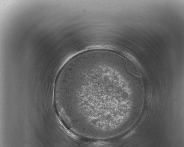 X0000081471228200701191757