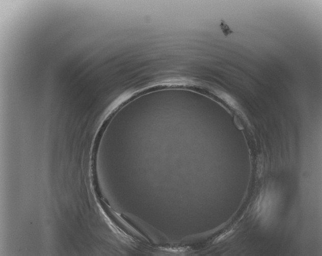 X0000081471229200701191757