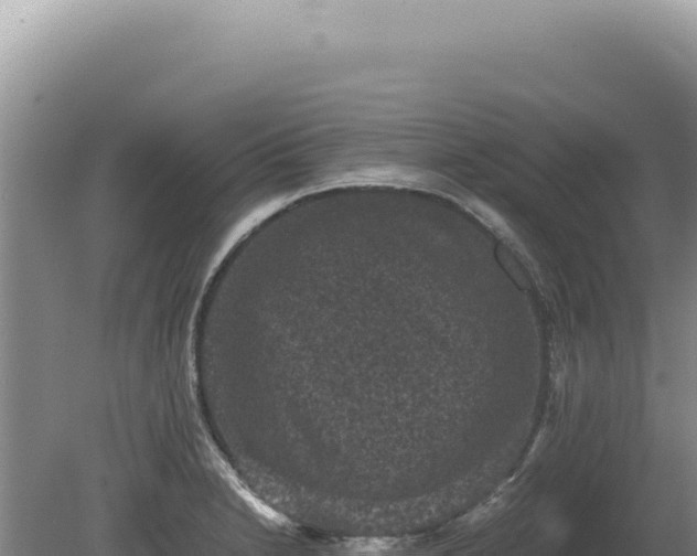 X0000081471230200701191757