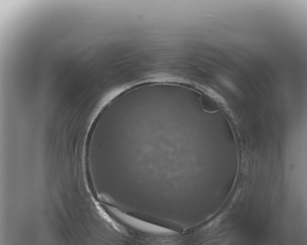 X0000081471231200701191757