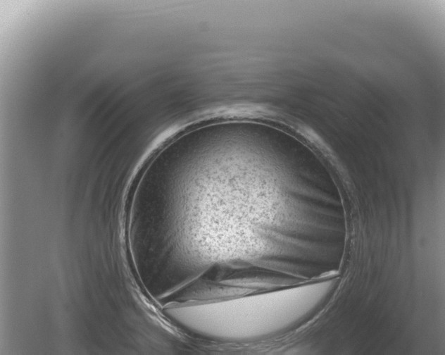 X0000081471232200701191757