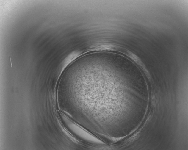 X0000081471234200701191757