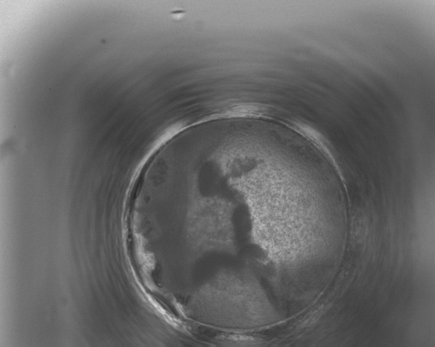 X0000081471235200701191757