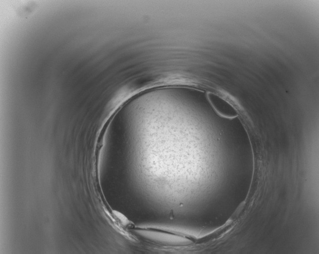 X0000081471236200701191757