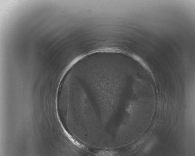 X0000081471237200701191757