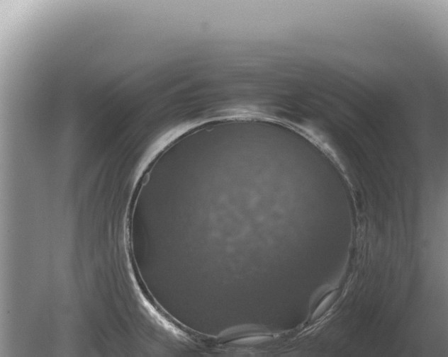 X0000081471239200701191757