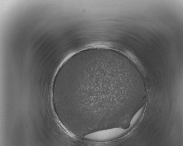 X0000081471240200701191757