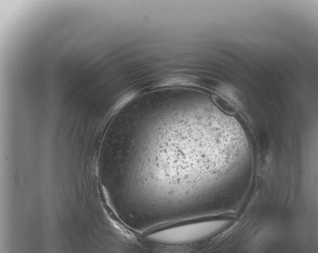 X0000081471241200701191757