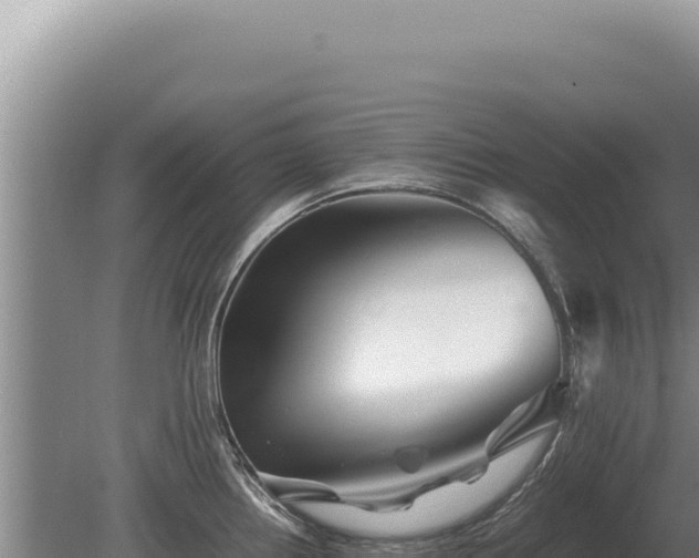 X0000081471242200701191757