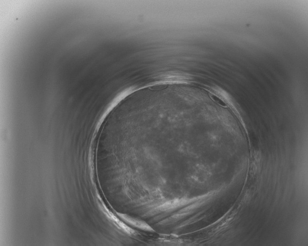 X0000081471243200701191757