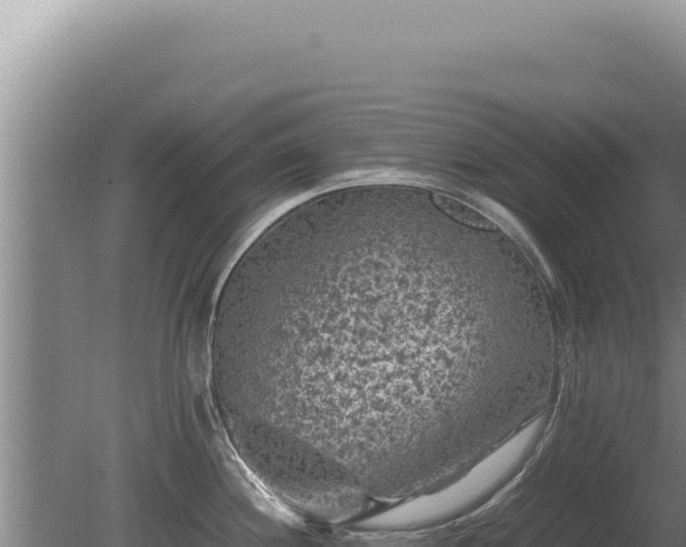 X0000081471244200701191757