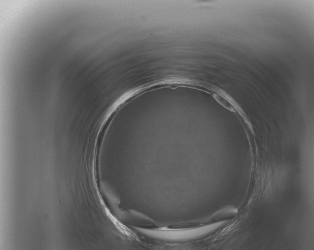 X0000081471245200701191757