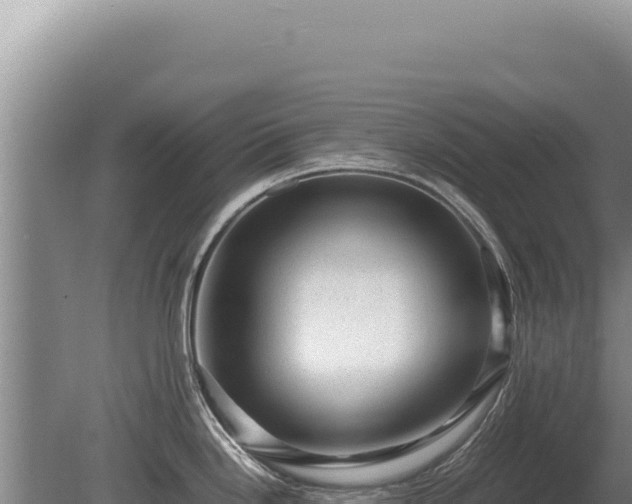 X0000081471246200701191757