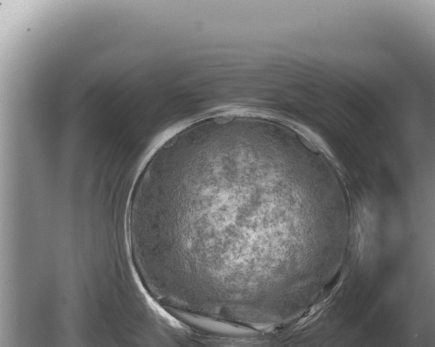 X0000081471247200701191757