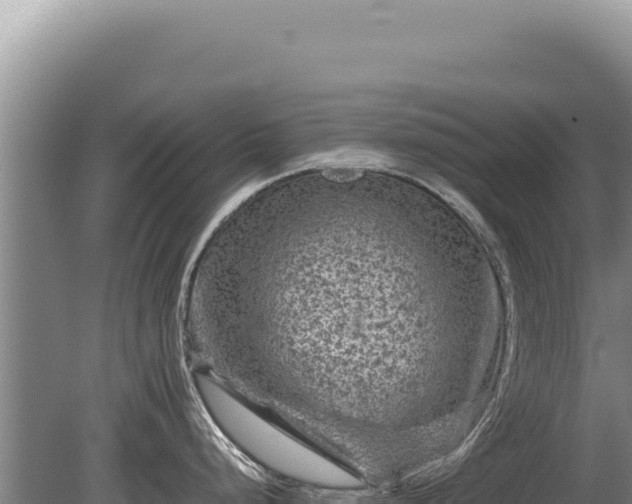 X0000081471248200701191757