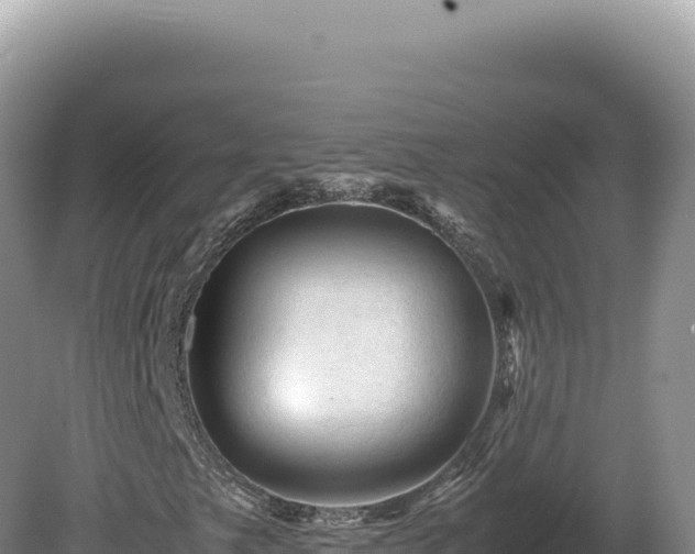 X0000081471249200701191757