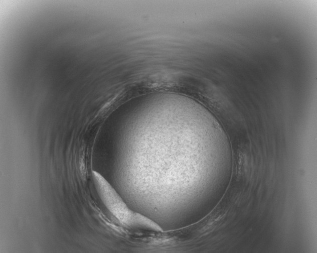 X0000081471250200701191757