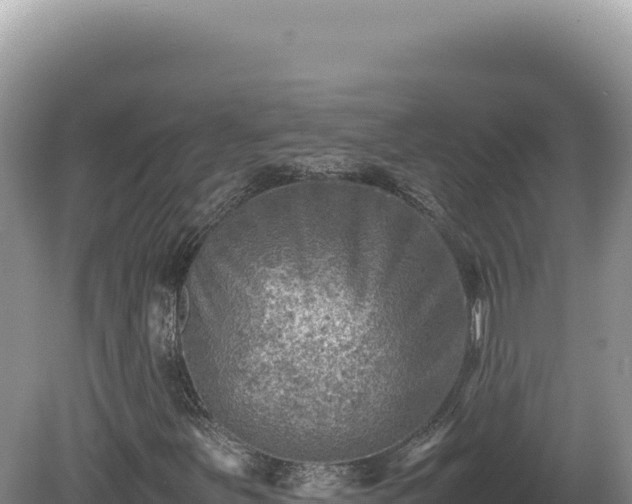 X0000081471251200701191757