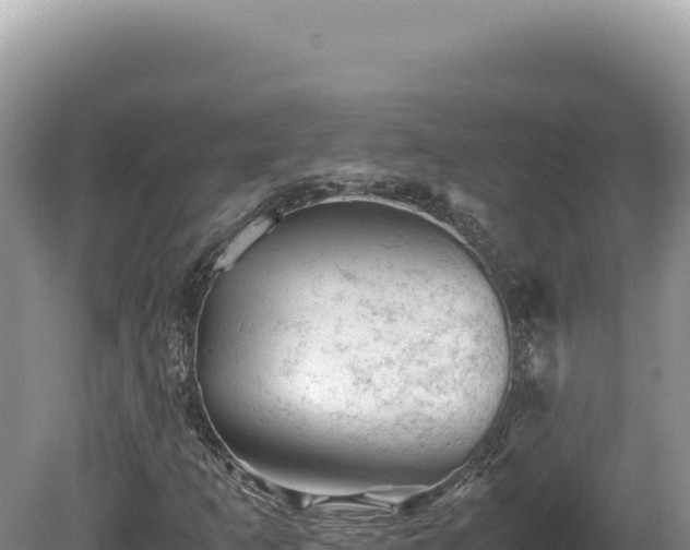 X0000081471253200701191757