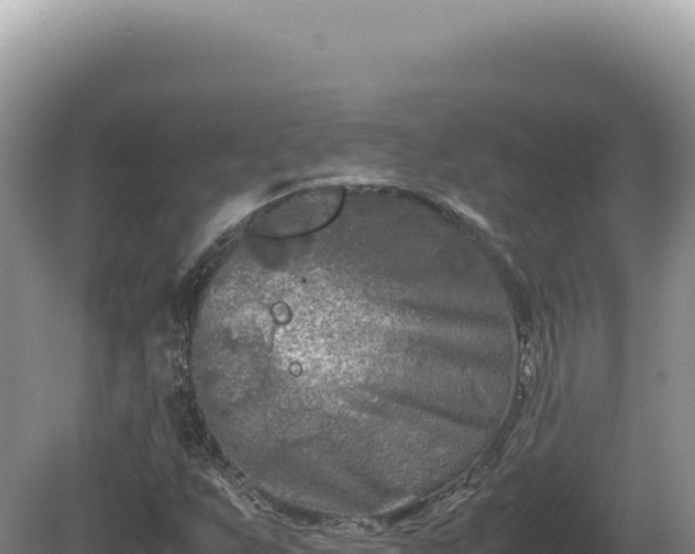 X0000081471255200701191757