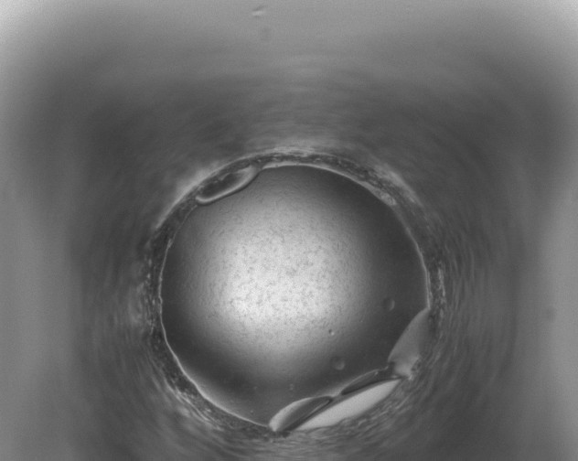 X0000081471256200701191756