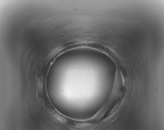 X0000081471257200701191756