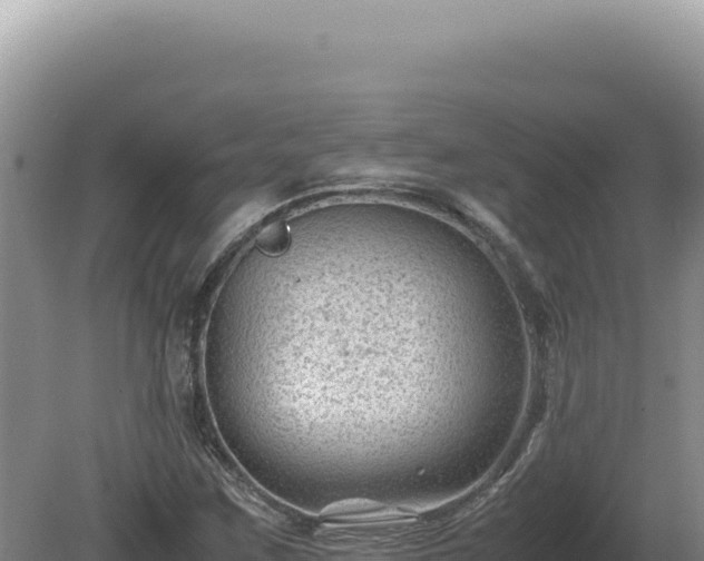 X0000081471259200701191756