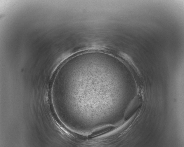 X0000081471260200701191756