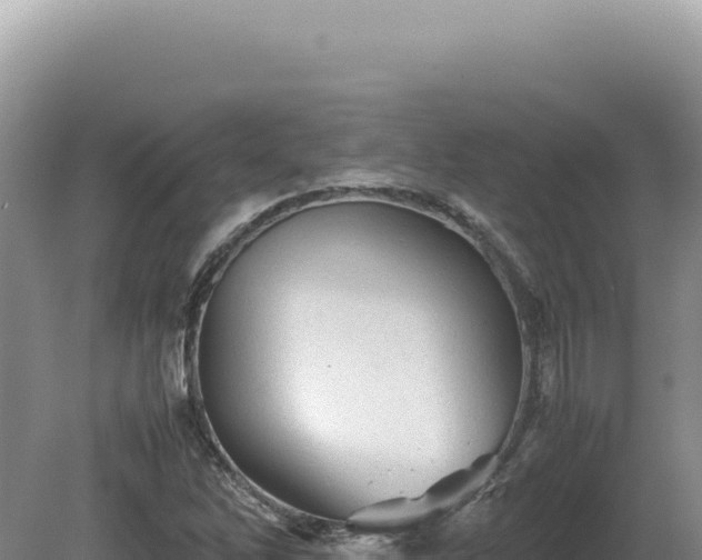 X0000081471262200701191756