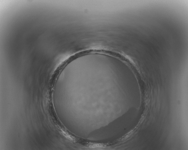 X0000081471263200701191756