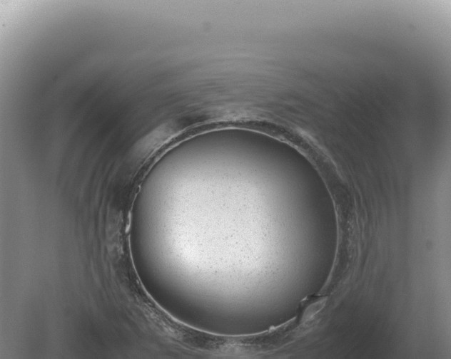 X0000081471265200701191756