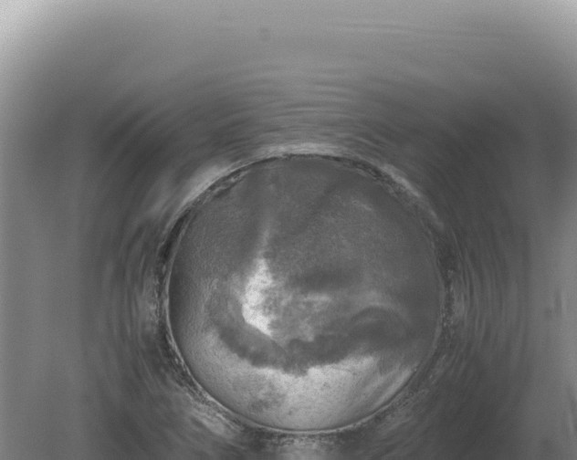 X0000081471266200701191756