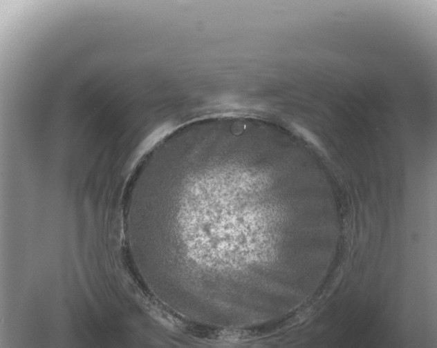 X0000081471267200701191756