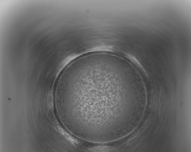 X0000081471268200701191756