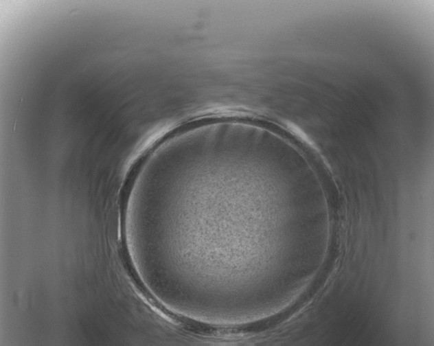 X0000081471269200701191756