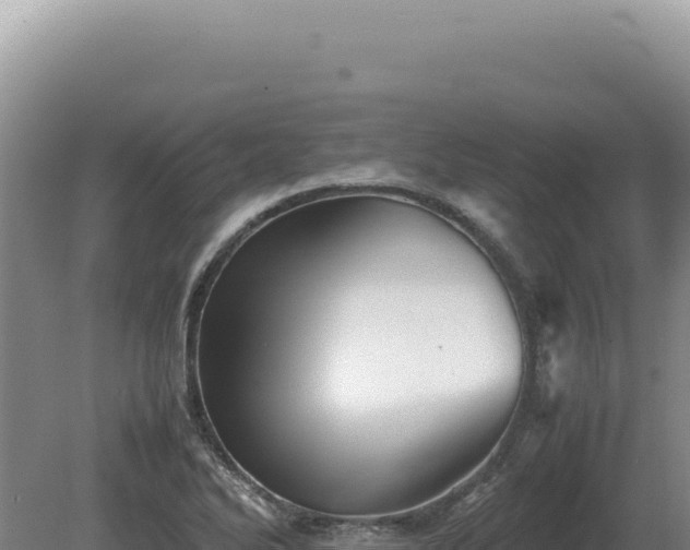 X0000081471270200701191756