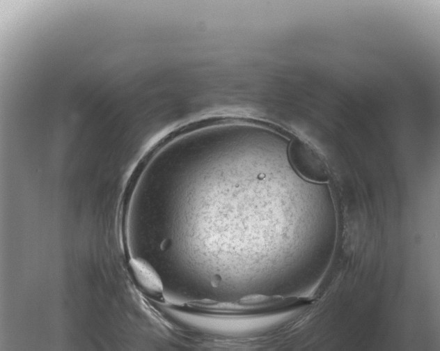 X0000081471272200701191756