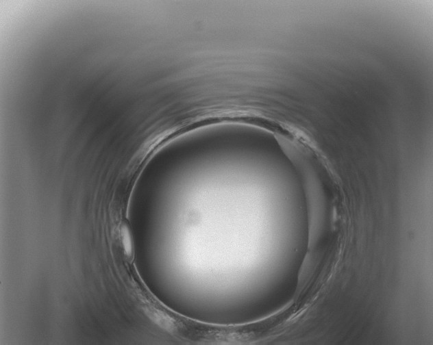 X0000081471273200701191756