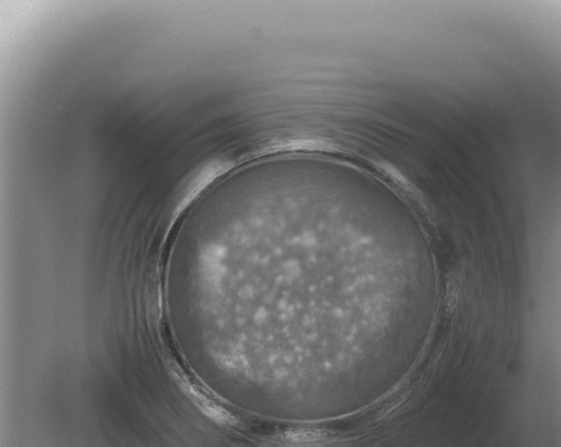 X0000081471274200701191756